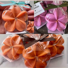 Molde Silicona Flor Hawaiana x 6